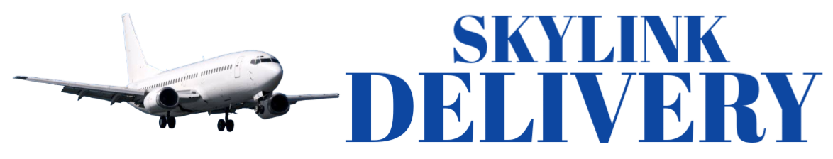 skylink-delivery